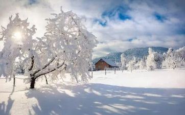 2023冬至节日饮食常识 2023冬至节日饮食常识