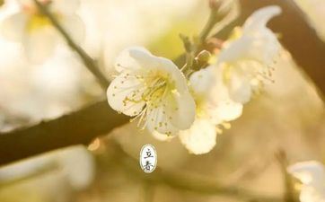 2023年躲春属马几点到几点 2023年立春属马怎样躲春 2023年躲春属马几点到几点 2023年立春属马怎样躲春