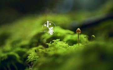 民间俗话&ldquo;小暑纯金头，连阴到立秋&rdquo;是什么意思？