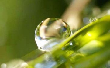 怎样使用寒露敞开秋冬的好命运? 怎样使用寒露敞开秋冬的好命运?