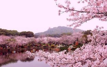 2024年清明是几月几号几点几分？