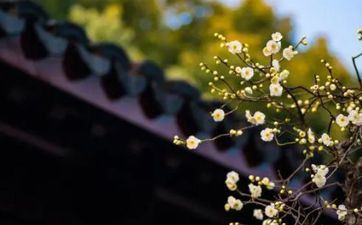 2024年观世音菩萨圣诞的阴历时刻