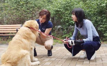 属狗人2023走运数字有哪些 属狗人2023年忌讳数字