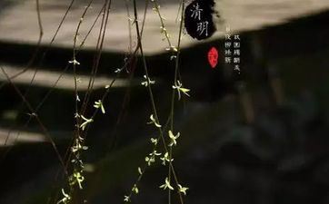 民间烧纸的由来 民间烧纸终究有什么用