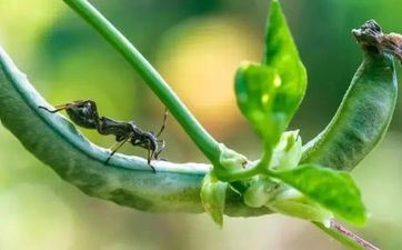 2023惊蛰往后气候变暖了吗 2023惊蛰往后气候变暖了吗