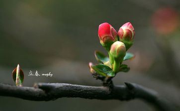 2023躲春坐在哪个方位 躲春有什么说法