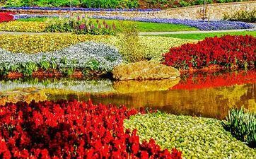 2023年躲春能够玩手机吗 2023年躲春能看电视吗