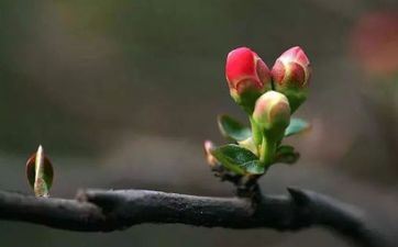 立春到来不躲春有什么结果？