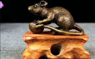 2024年10月18日属相鼠五行穿衣攻略