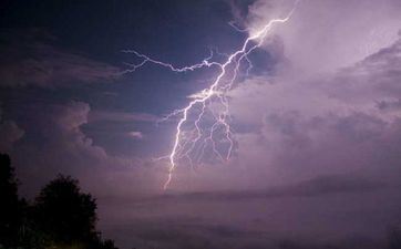 开车路上撞死一只狗有啥征兆 怎样处理能化解 开车路上撞死一只狗有啥征兆 怎样处理能化解