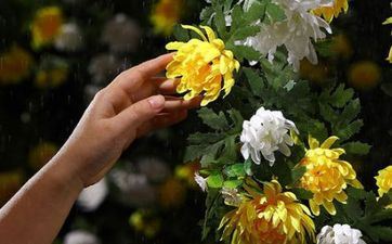 2024广西三月三和清明是一同的吗