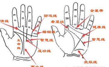 大富大贵前必有大苦难的手相 掌心洼陷有川字