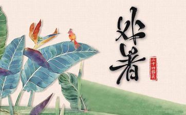 2024年的三九第一天是几号 2024三九天时刻哪天开端