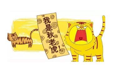 属虎的最怕的三个属相