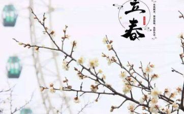 2024年立春是五九尾仍是六九头