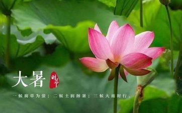 2023大暑阴历时刻 大暑是阴历几月几日