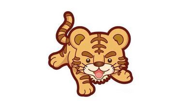 属虎合适养什么花