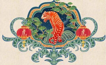 女虎男兔属相合不合？