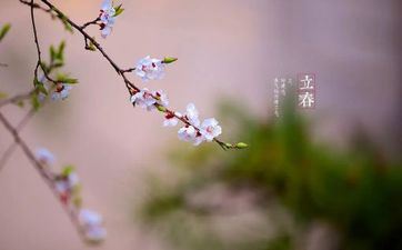 2024年立春在新年之前吗