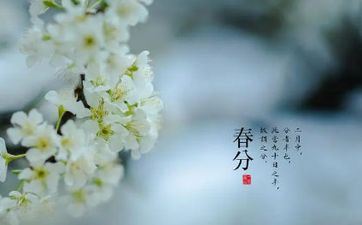 春分节气的习俗及传统食物