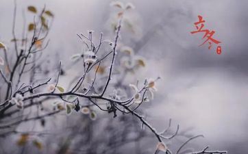 立冬要怎么做才能不患病?2022年立冬黄道信息 立冬要怎么做才能不患病?2022年立冬黄道信息