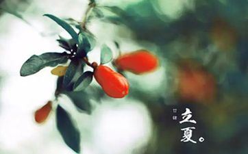 立夏是夏天的第一个节气吗？哪个节气进入夏天