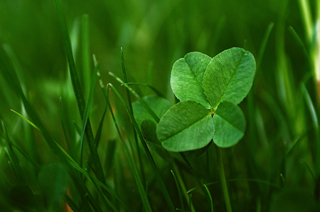 谁是你的潜在第三者