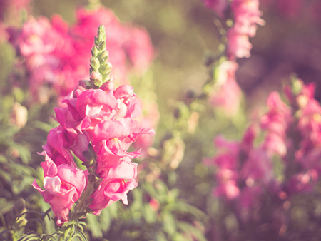 怎么让星座老板加薪