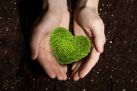 极难退出情伤星座排行