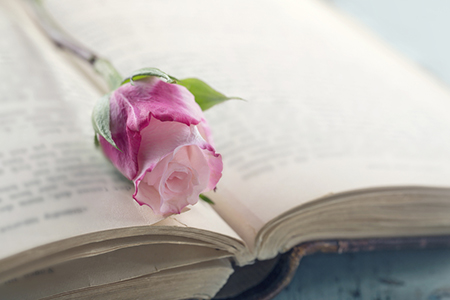 50岁剑客栾菊杰11日上台 剑指女花桂冠