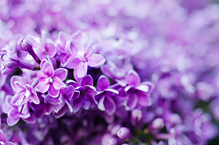 你们是床上的好搭档吗?