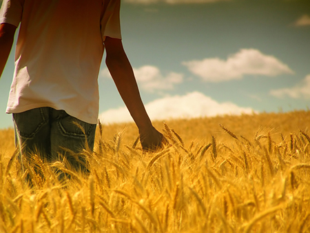 选小猪测一月运势