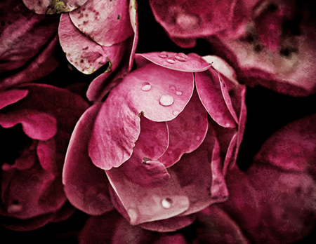 家居风水：安床应留意风水五宜六忌