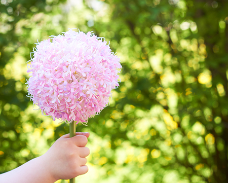 家居风水的五大诀窍