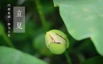 立夏是什么意思？立夏节气的风俗与忌讳