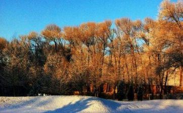 小雪是什么时分2022 二十四节气之小雪的由来与意义 小雪是什么时分2022 二十四节气之小雪的由来与意义