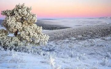 虎年立冬是什么时分？立冬之后是什么节气？