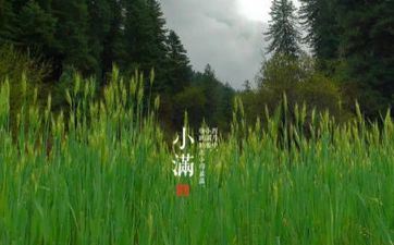 小满的由来与习俗活动 小满的民间习俗