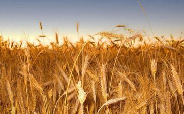 2023年秋分的案牍60句