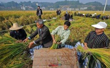 2023年6月21日是什么节气 2023年6月21日节气详细时间