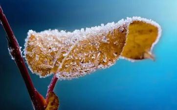 2022年11月7日立冬成婚好吗？立冬成婚考究什么？