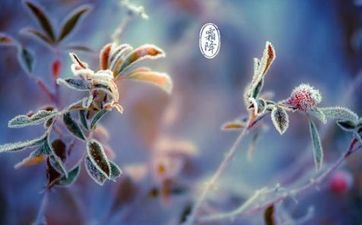 2022年霜降时刻几点几分几秒 2022年霜降时刻几点几分 2022年霜降时刻几点几分几秒 2022年霜降时刻几点几分