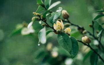 2022年阴历十一月十五的喜神方位查询一览