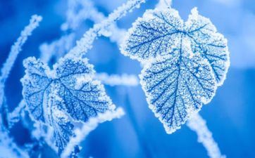 2022霜降的祝愿语 2022霜降的朋友圈祝愿语