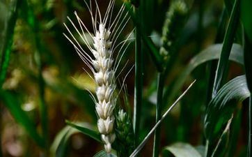 本年小满详细时刻 2023年小满是几月几日几点几分几秒？