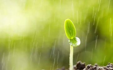 2024年三九进九时间表