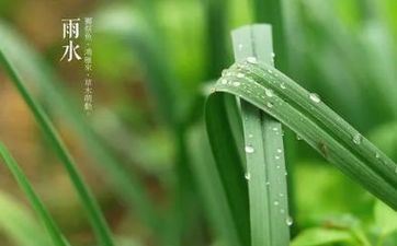 谷雨后三天下雨的意义 谷雨后三天是春天仍是夏天