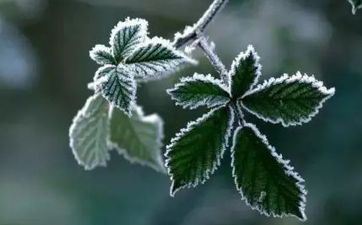 2023年霜降是哪一天？