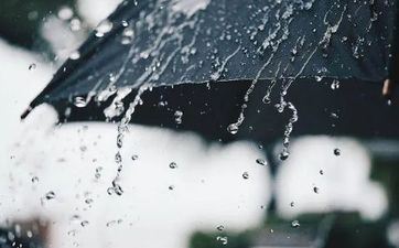 雨水节气吃什么最合适 吃什么生果蔬菜摄生