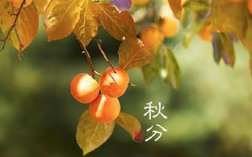 中秋节是立秋仍是秋分怎样区别？2023年中秋节和秋分是同一天吗